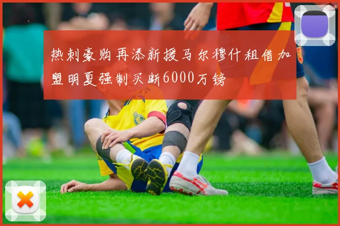 热刺豪购再添新援马尔穆什租借加盟明夏强制买断6000万镑